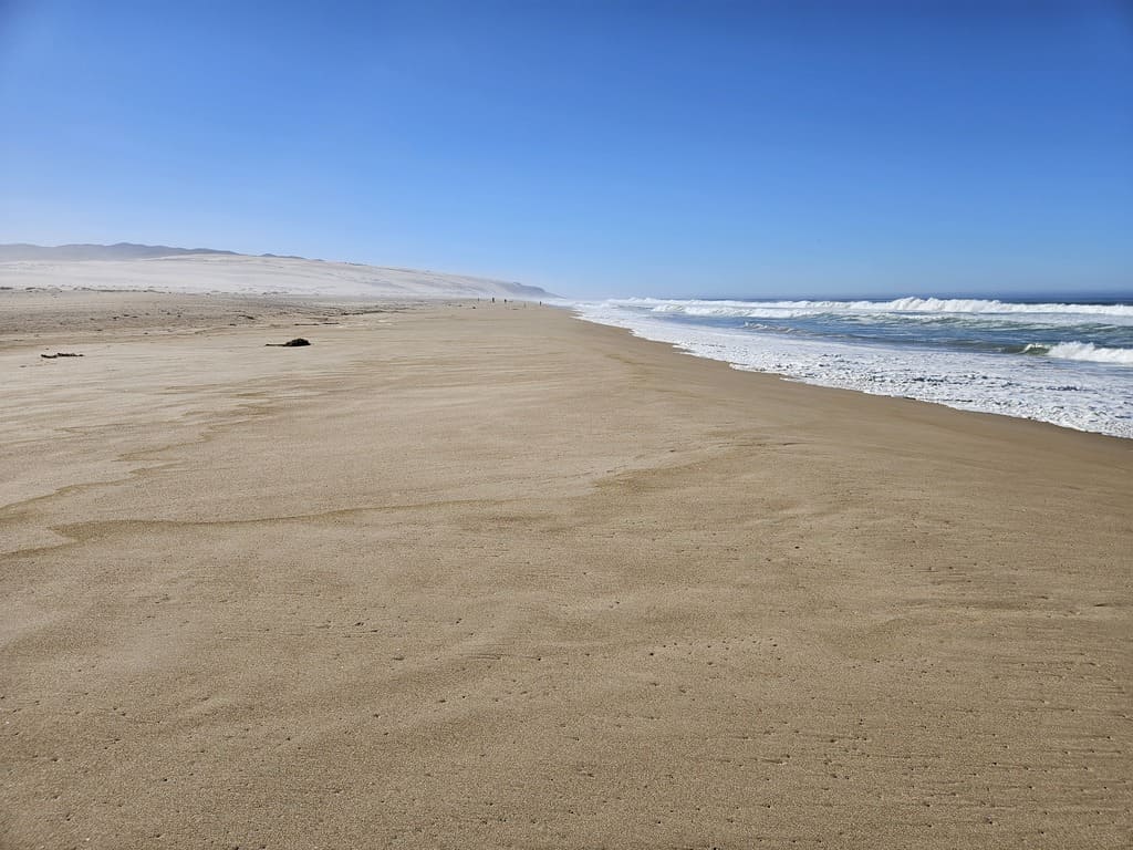 Rancho Guadalupe Dunes Preserve
