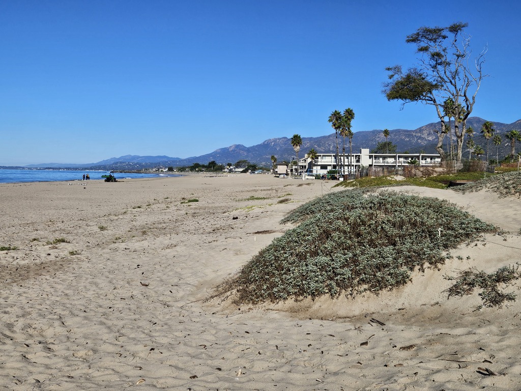 Carpinteria State Beach