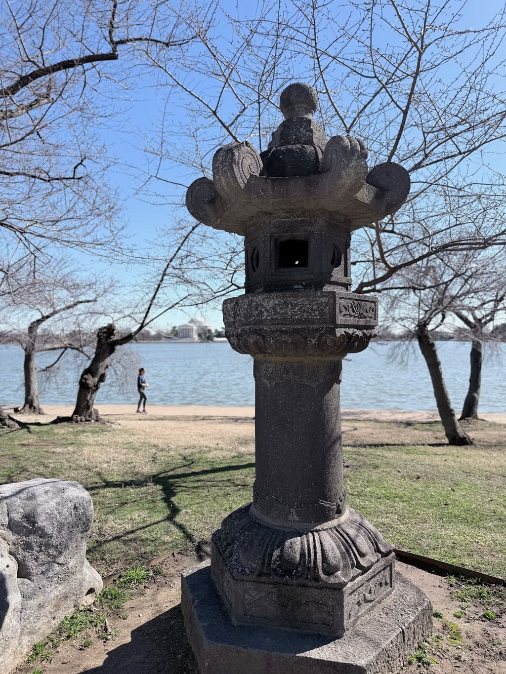 Japanese Lantern