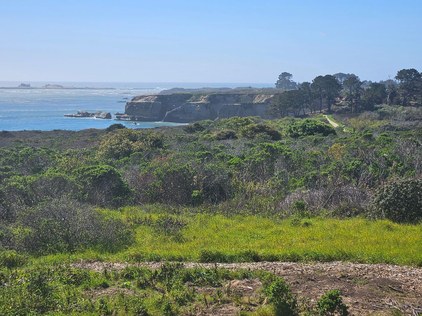 Año Nuevo State Park