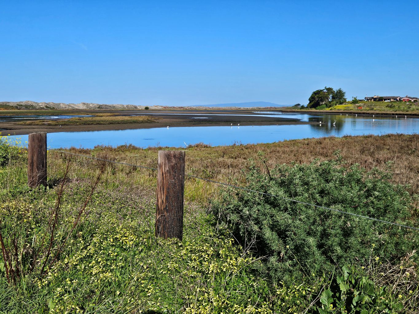 Moss Landing State Beach