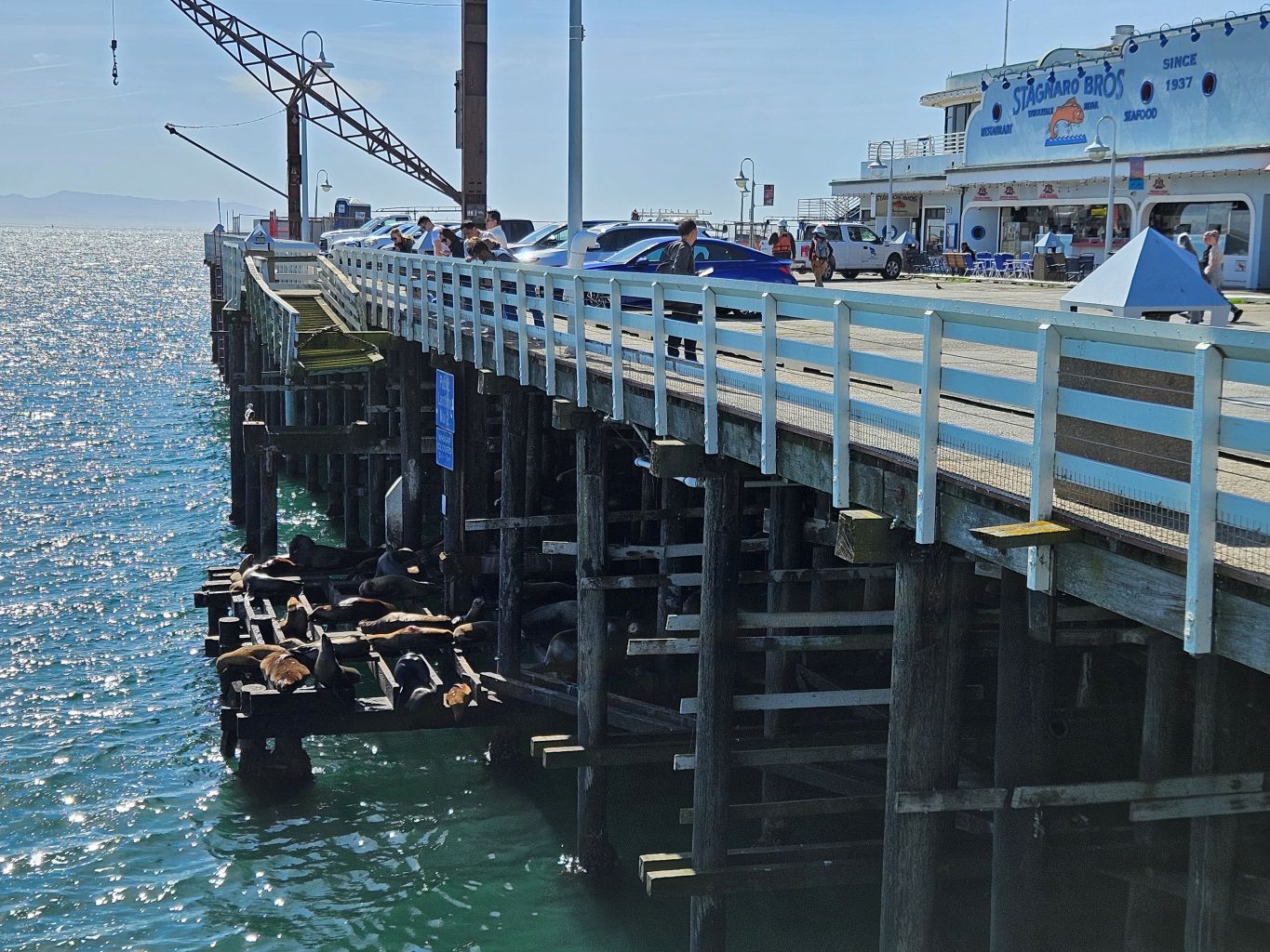 Santa Cruz Wharf
