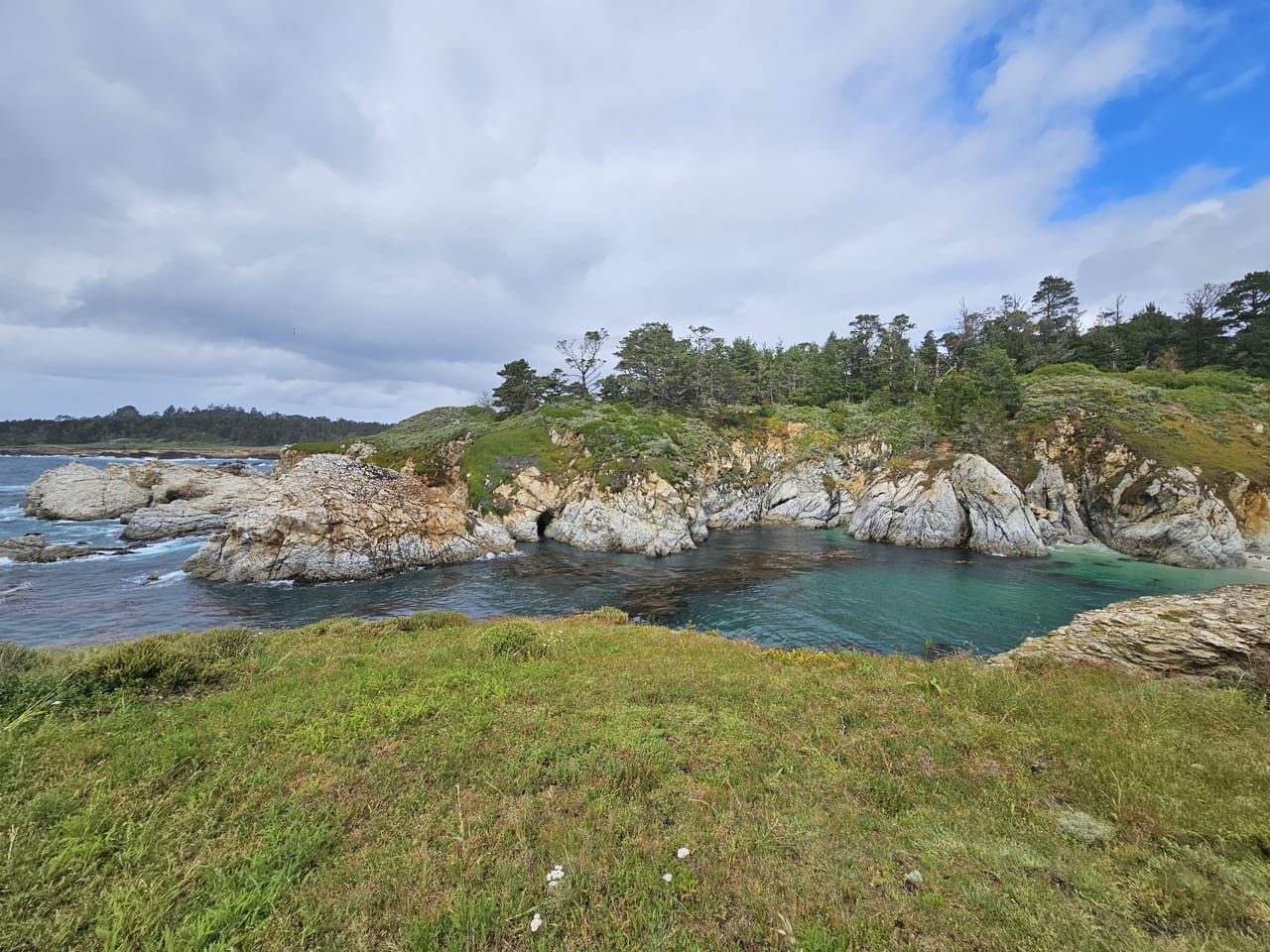 Point Lobos State Natural Reserve