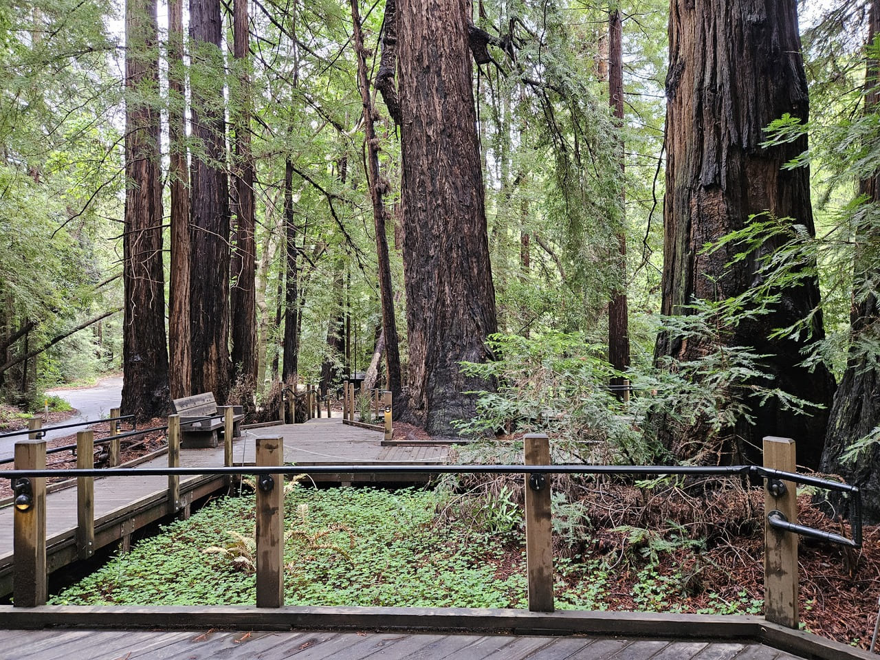 Pfeiffer Big Sur State Park