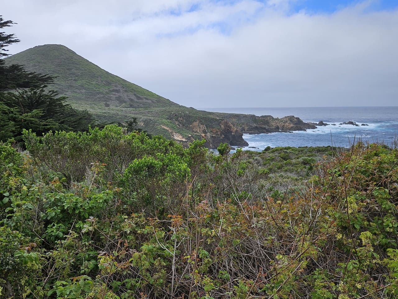 Garrapata State Park - Soberanes Point