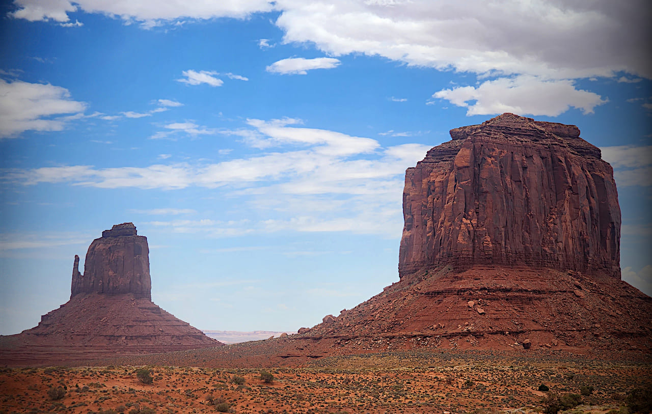 Mittens' and Merrick's Viewpoint