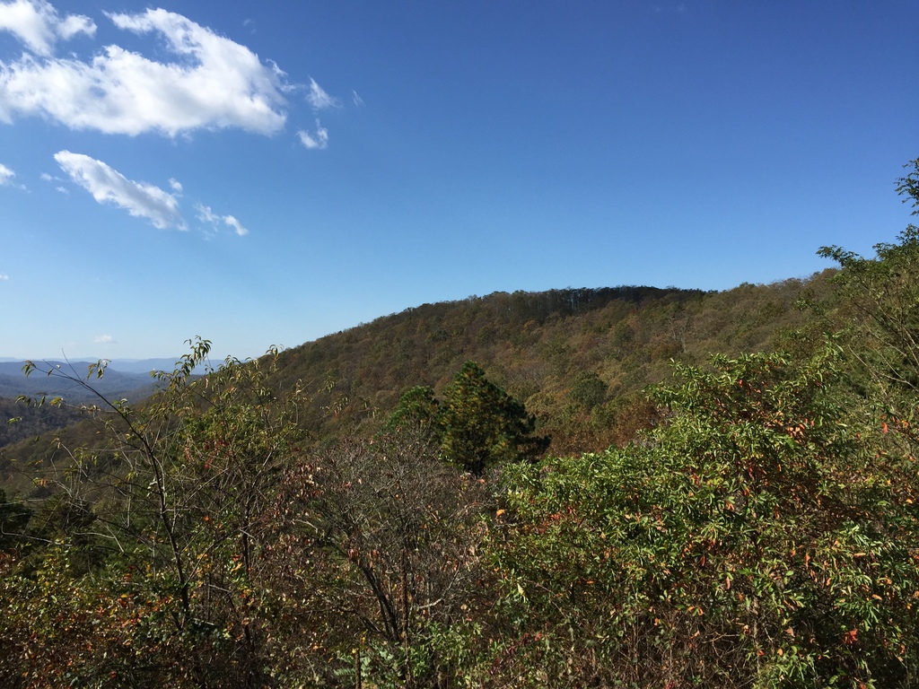 Sawmill Run Overlook -Photo by Famartin CC BY-SA 4.0, via Wikimedia Commons