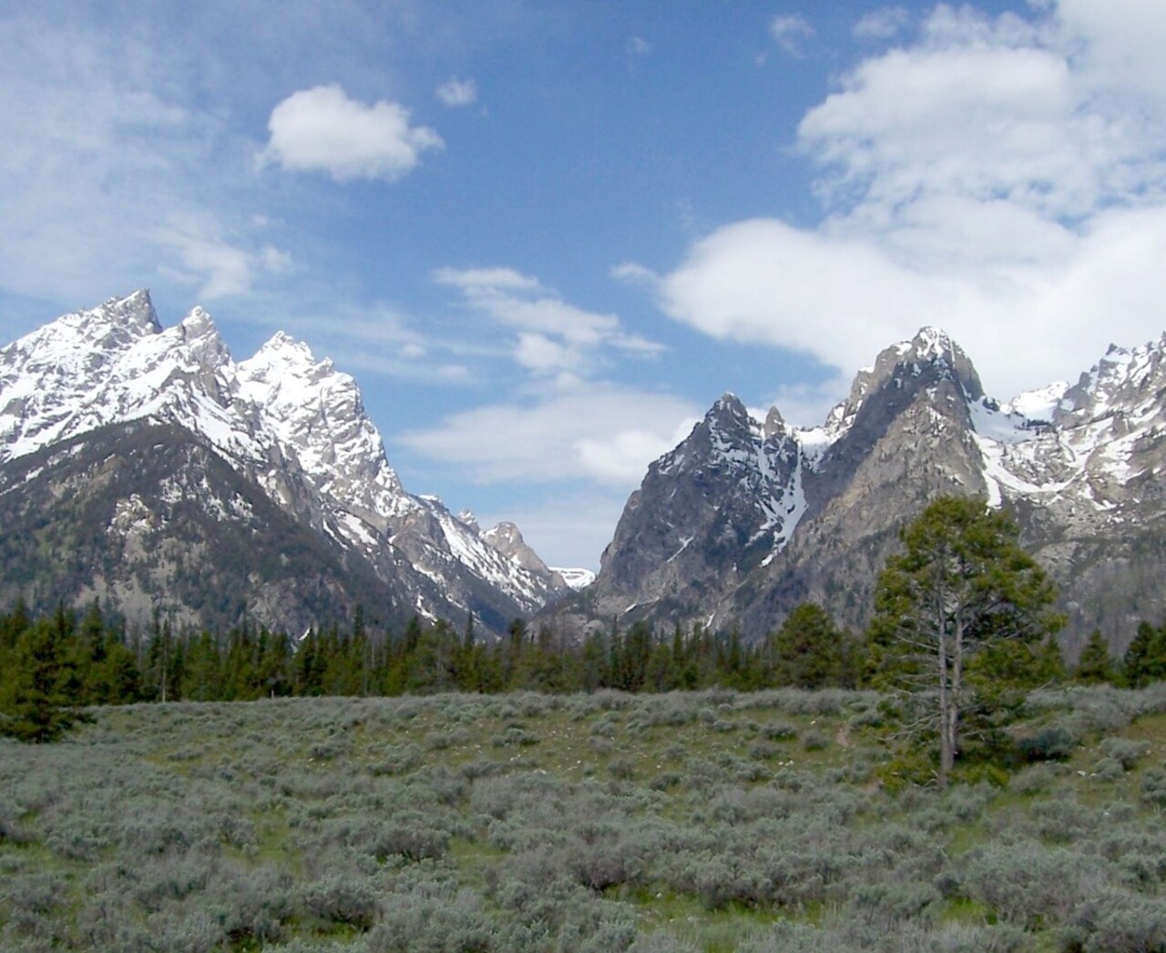 Cascade Canyon Turnout