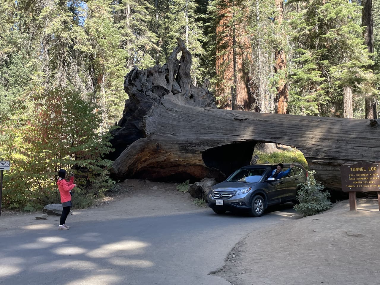 Tunnel Log