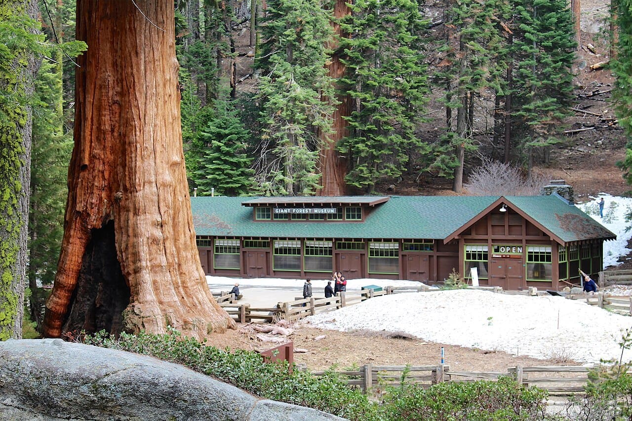 Giant Forest Museum - Photo by David Fulmer, CC BY 2.0, via Wikimedia Commons