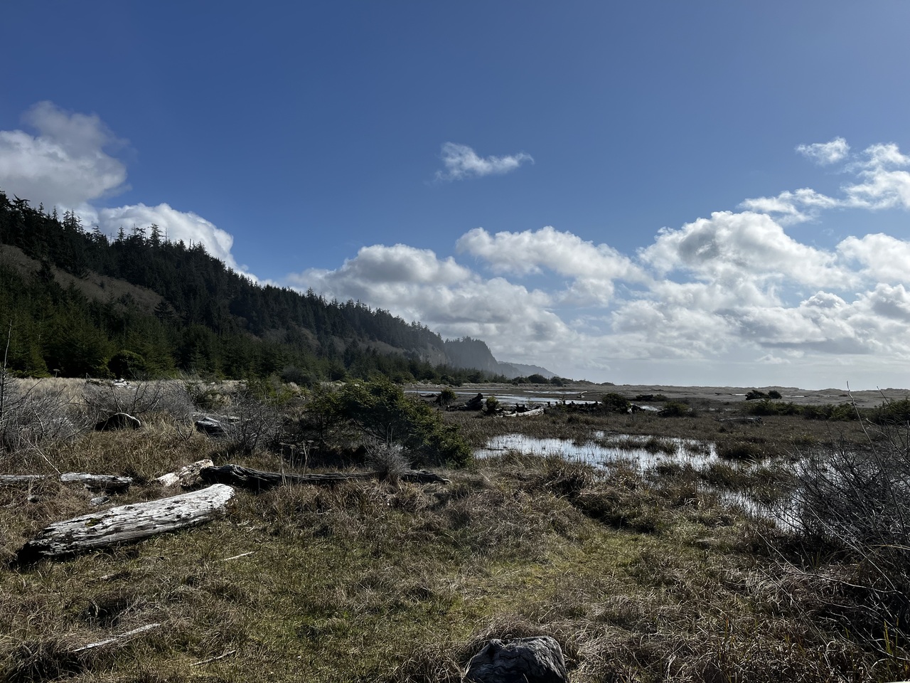 Gold Bluffs Beach