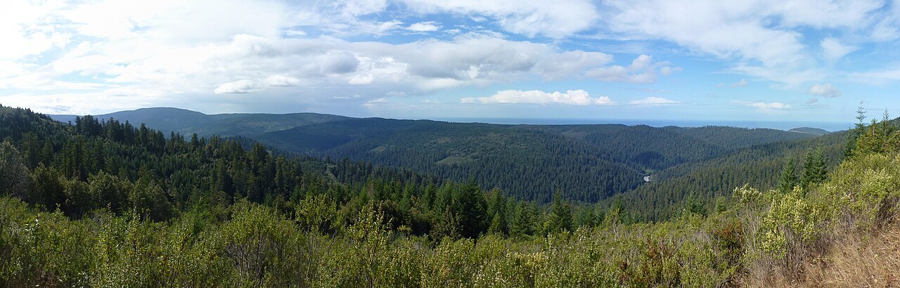 Redwood Creek Overlook - Photo by Little Mountain 5, CC by SA 4.0 via Wikimedia Commons