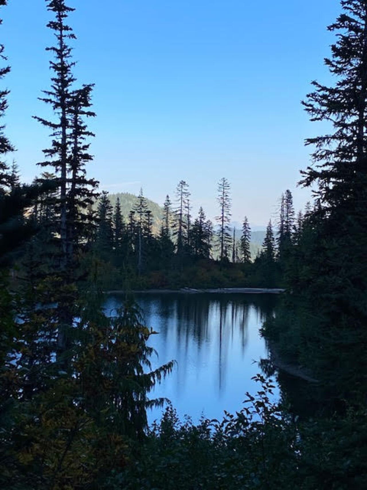 Bench & Snow Lake Trail