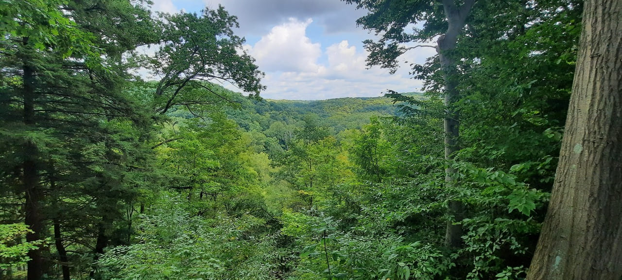 Tinkers Creek Gorge Overlook