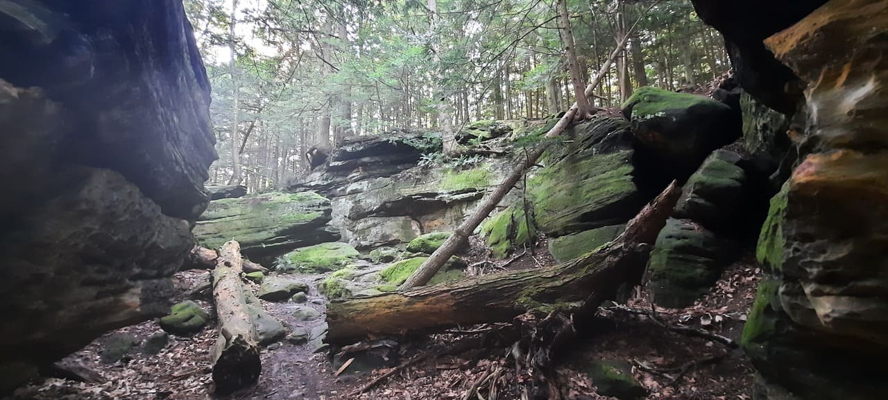The Ledges Trail
