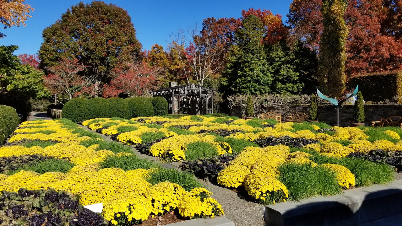North Carolina Arboretum