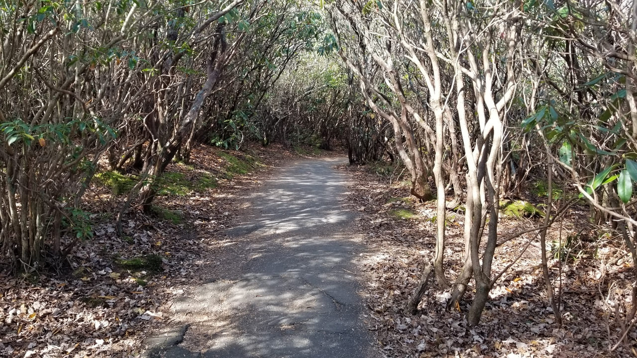 Graveyard Fields