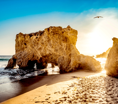 Pacific Coast Highway Tour: Santa Barbara to Santa Monica