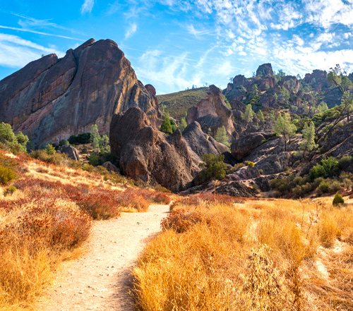Pinnacles National Park Tour