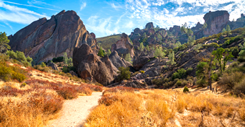 Pinnacles National Park Tour