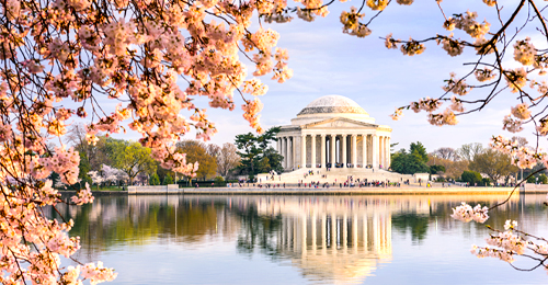 Tidal Basin Walking Tour, Washington DC